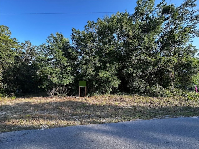 Country Club Dr, Williston, FL 32696 - photo 1