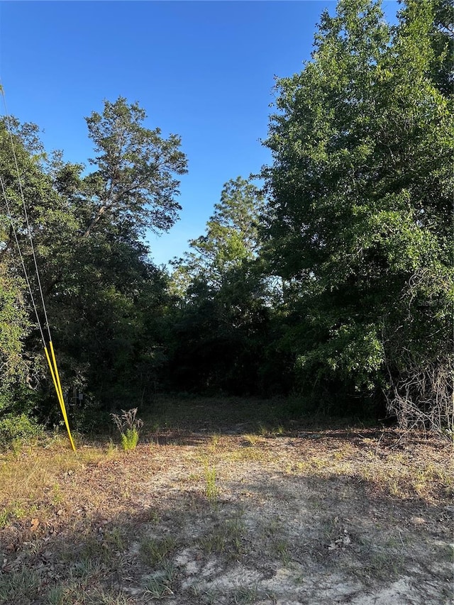 Country Club Dr, Williston, FL 32696 - photo 3