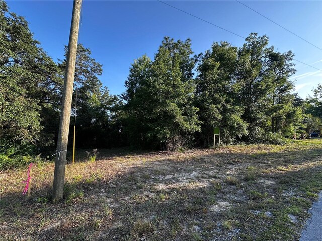 Country Club Dr, Williston, FL 32696 - photo 5