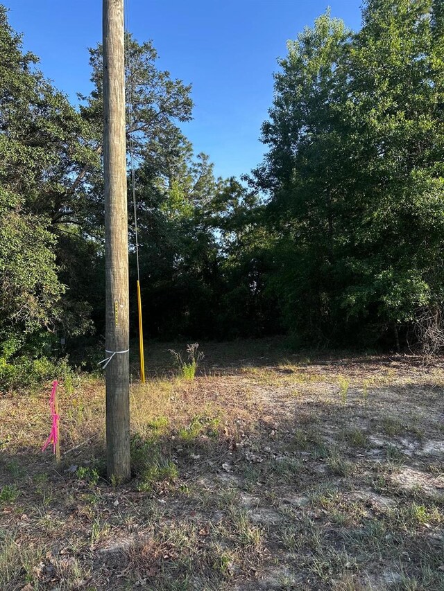 Country Club Dr, Williston, FL 32696 - photo 6