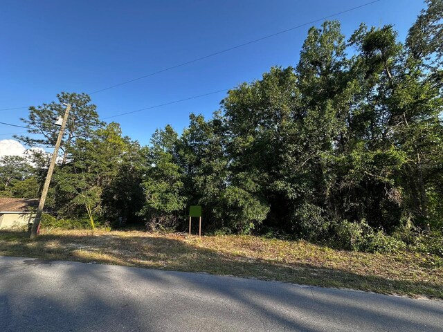 Country Club Dr, Williston, FL 32696 - photo 8