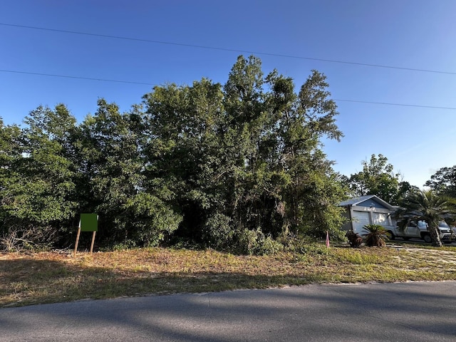 Country Club Dr, Williston, FL 32696 - photo 12