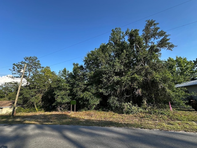 Country Club Dr, Williston, FL 32696 - photo 14