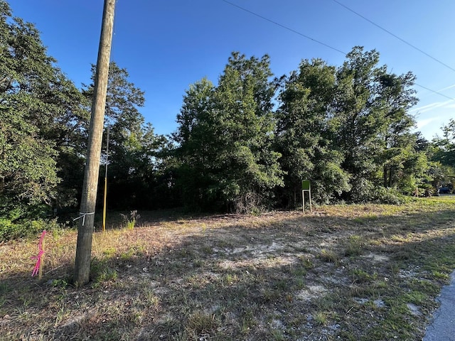 Country Club Dr, Williston, FL 32696 - photo 15