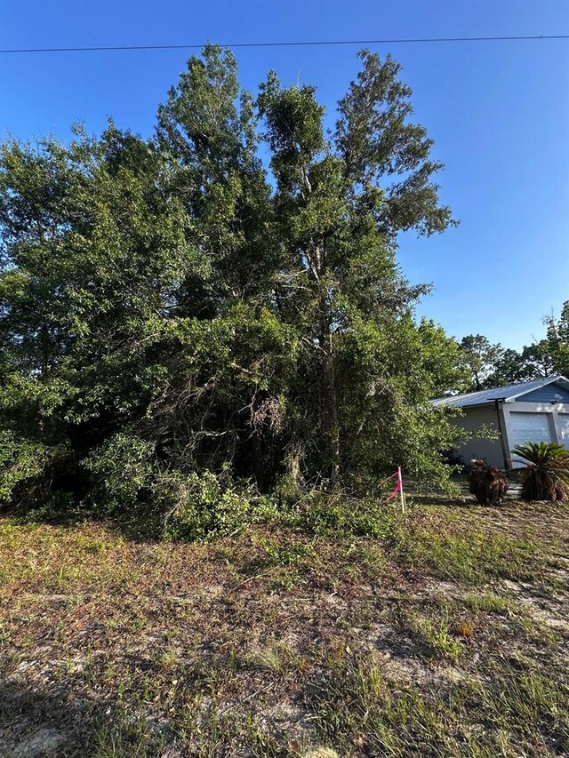 Country Club Dr, Williston, FL 32696 - photo 17