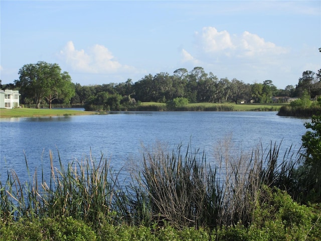 8134 Fairways Cir Unit R203, Ocala, FL 34472 - water view