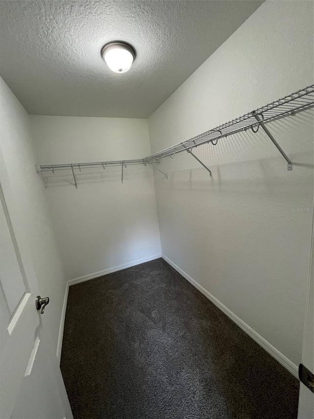 8795 Juniper Rd, Ocala, FL 34480 - walk in closet featuring dark colored carpet