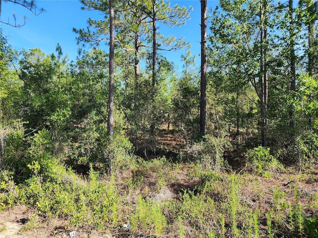 SW Edgewater, Dunnellon, FL 34431
