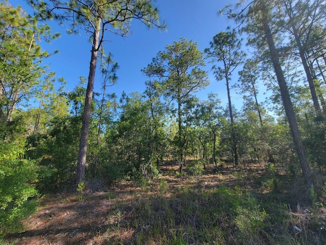 SW Edgewater, Dunnellon, FL 34431