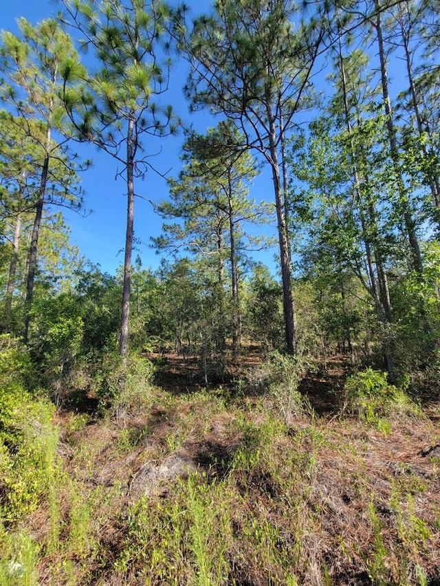 SW Edgewater, Dunnellon, FL 34431