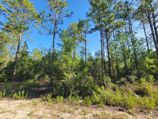 SW Edgewater, Dunnellon, FL 34431