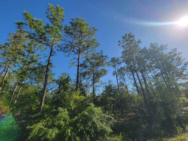 SW Edgewater, Dunnellon, FL 34431