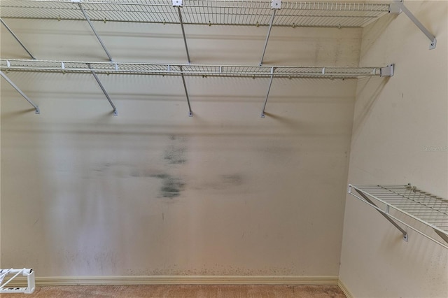 585 W Barrymore Dr, Beverly Hills, FL 34465 - view of spacious closet