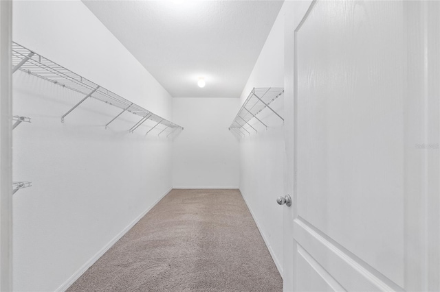 7054 SW 64th Ter, Ocala, FL 34476 - spacious closet featuring carpet floors