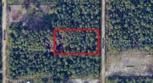 10705 Delgado Ave, Hastings, FL 32145