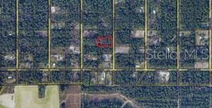 10705 Delgado Ave, Hastings, FL 32145