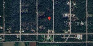 10705 Delgado Ave, Hastings, FL 32145