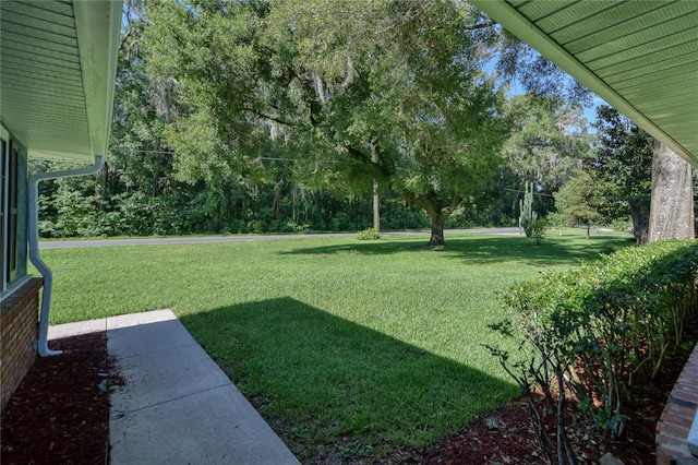 2855 SE 38th St, Ocala, FL 34480 - view of grassy yard featuring view of scattered trees