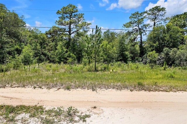 620 S Fairlane Ter, Lecanto, FL 34461 - photo 3