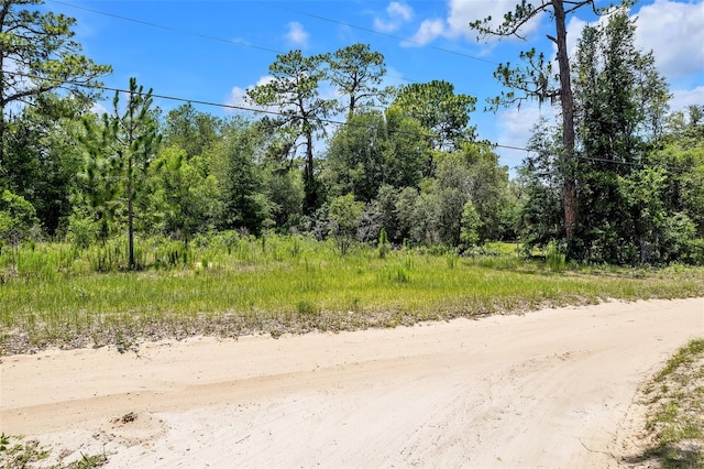 620 S Fairlane Ter, Lecanto, FL 34461 - photo 4