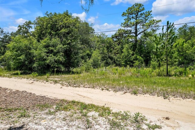 620 S Fairlane Ter, Lecanto, FL 34461 - photo 5