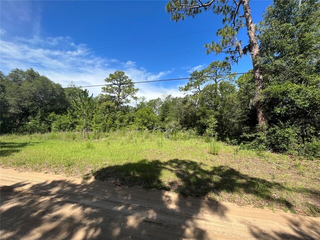 620 S Fairlane Ter, Lecanto, FL 34461 - photo 8