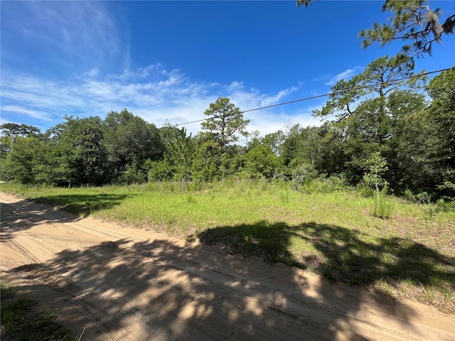 620 S Fairlane Ter, Lecanto, FL 34461 - photo 9
