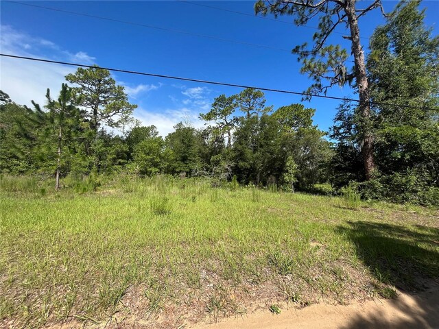 620 S Fairlane Ter, Lecanto, FL 34461 - photo 10