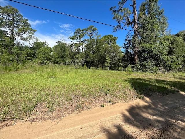 620 S Fairlane Ter, Lecanto, FL 34461 - photo 11