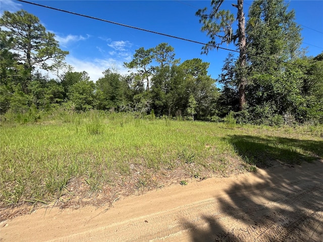 620 S Fairlane Ter, Lecanto, FL 34461 - photo 12