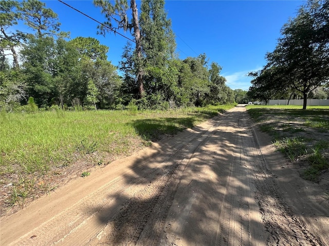 620 S Fairlane Ter, Lecanto, FL 34461 - photo 13