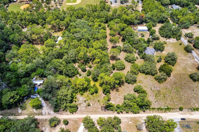 620 S Fairlane Ter, Lecanto, FL 34461 - photo 22