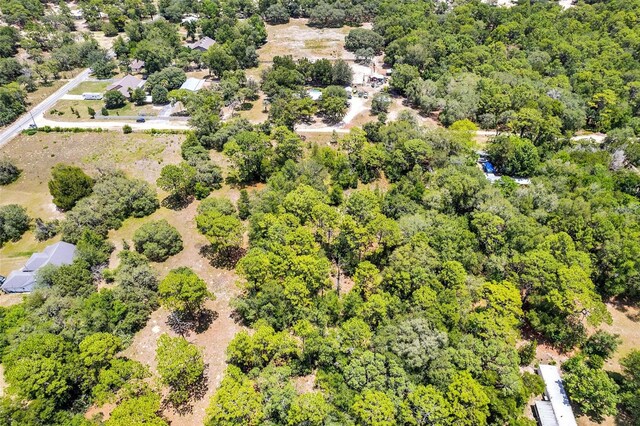 620 S Fairlane Ter, Lecanto, FL 34461 - photo 24