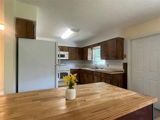 145 NE 71st Ave, Ocala, FL 34470 - photo 5