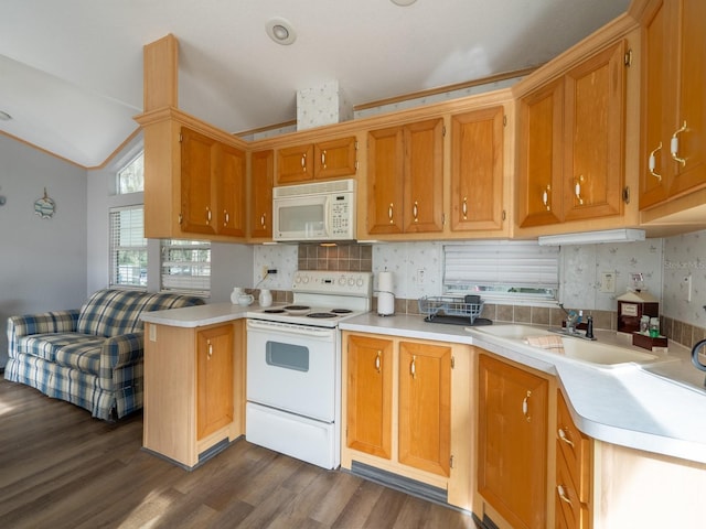 15991 NE 243rd Place Rd Unit 31, Fort Mc Coy, FL 32134 - photo 13