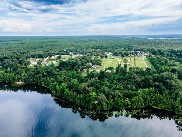 15991 NE 243rd Place Rd Unit 31, Fort Mc Coy, FL 32134 - photo 26