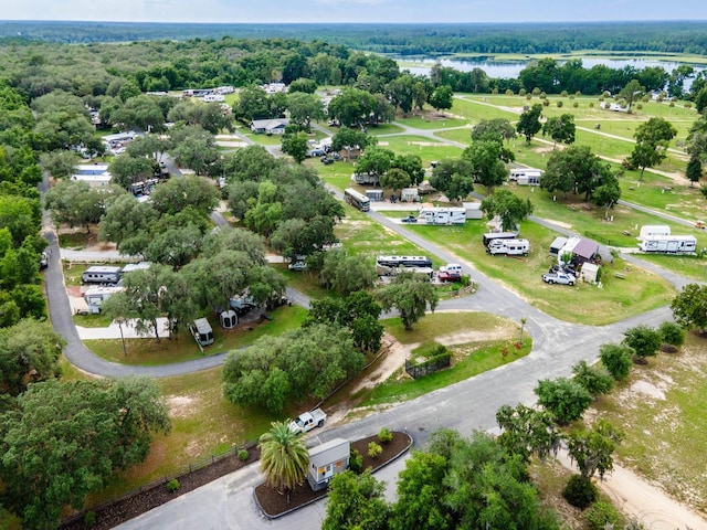 15991 NE 243rd Place Rd Unit 31, Fort Mc Coy, FL 32134 - photo 30