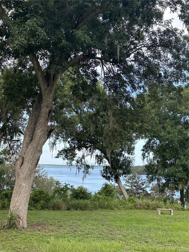 15991 NE 243rd Place Rd Unit 31, Fort Mc Coy, FL 32134 - photo 39