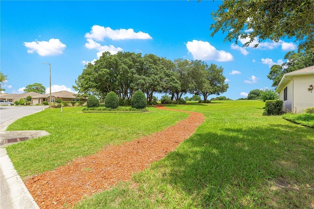 9925 SW 95th Loop, Ocala, FL 34481 - view of grassy yard