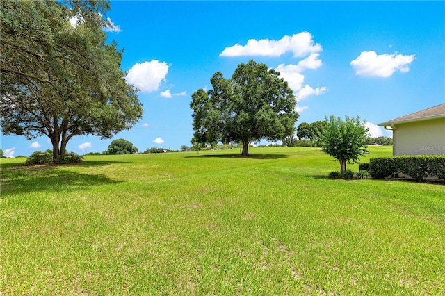9925 SW 95th Loop, Ocala, FL 34481 - view of grassy yard