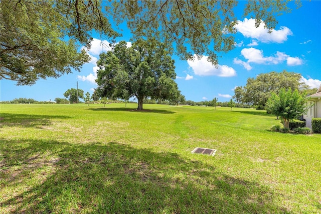 9925 SW 95th Loop, Ocala, FL 34481 - view of green lawn