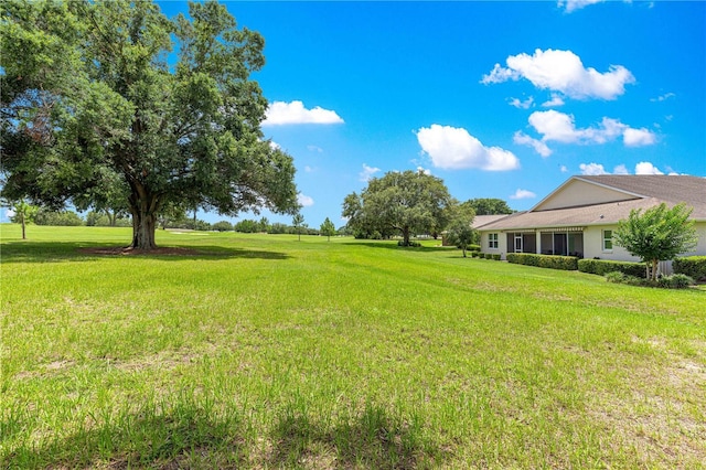 9925 SW 95th Loop, Ocala, FL 34481 - view of grassy yard
