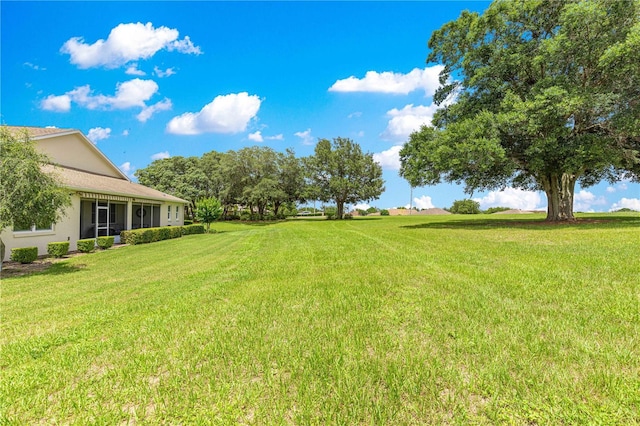 9925 SW 95th Loop, Ocala, FL 34481 - view of green lawn