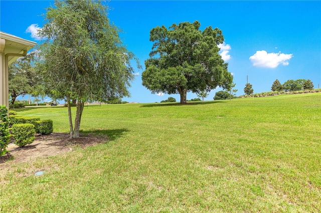 9925 SW 95th Loop, Ocala, FL 34481 - view of green lawn