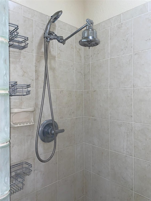 9923 SE 64th Ave, Belleview, FL 34420 - detailed view of tiled shower