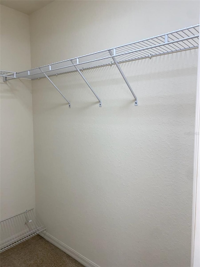 9923 SE 64th Ave, Belleview, FL 34420 - walk in closet with dark carpet
