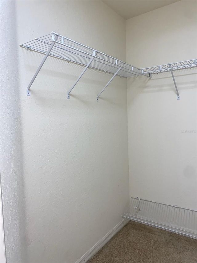 9923 SE 64th Ave, Belleview, FL 34420 - walk in closet with carpet floors