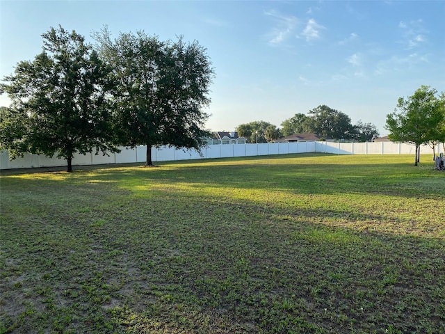 9923 SE 64th Ave, Belleview, FL 34420 - view of yard