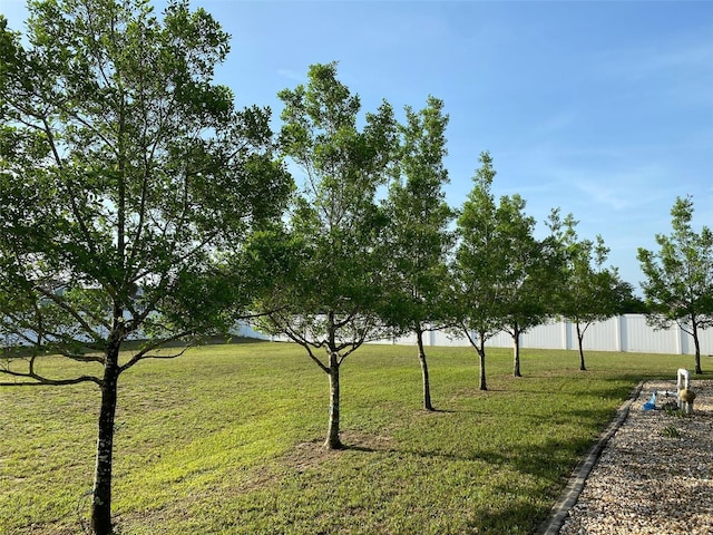 9923 SE 64th Ave, Belleview, FL 34420 - view of yard