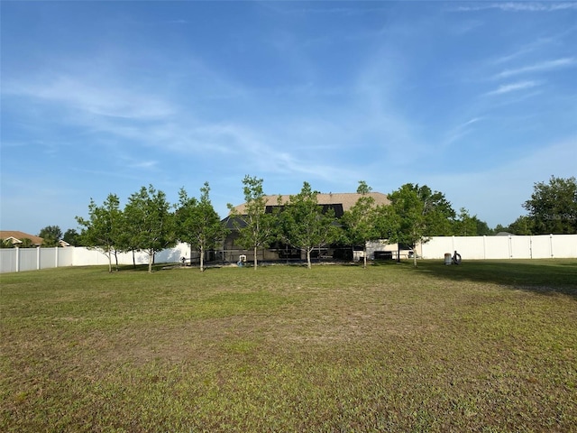 9923 SE 64th Ave, Belleview, FL 34420 - view of yard